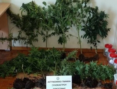 Φυτεία υδροπονικής κάνναβης ανακάλυψαν οι αρχές στο Ξυλόκαστρο
